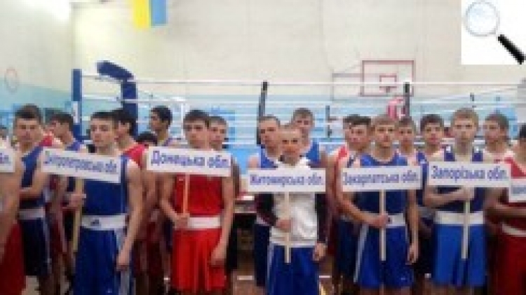 Боксери з Житомирщини увійшли до десятки найсильніших в Україні