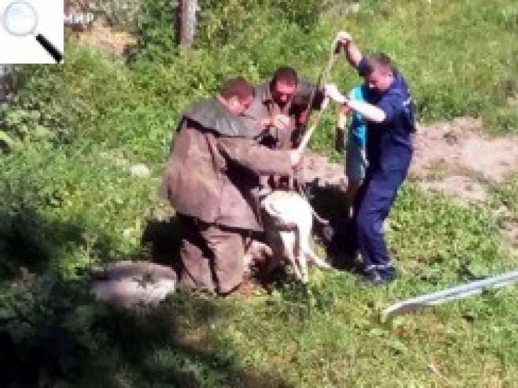 Рятувальники дістали з каналізаційного колектора… козу
