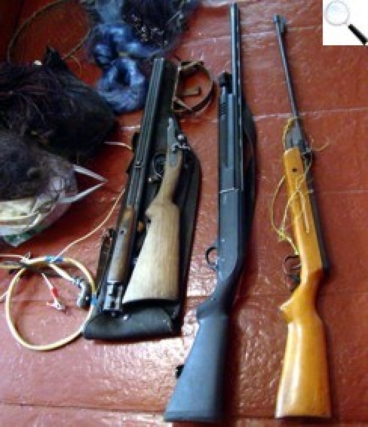 У квітні жителі Житомирщини здали до поліції майже 250 одиниць зброї та спецзасобів