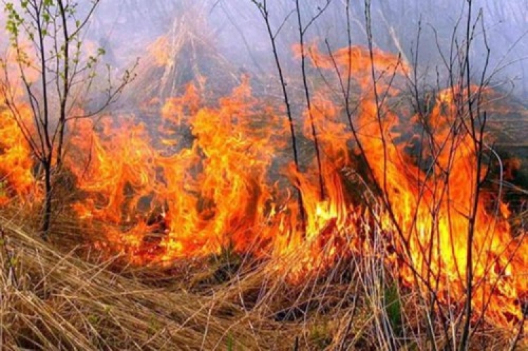 У Суслах горіла суха трава, у Чижівці — сіно: населення закликають не палити сміття!