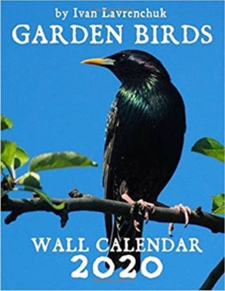 Місцевий фотограф випустив календар про птахів
