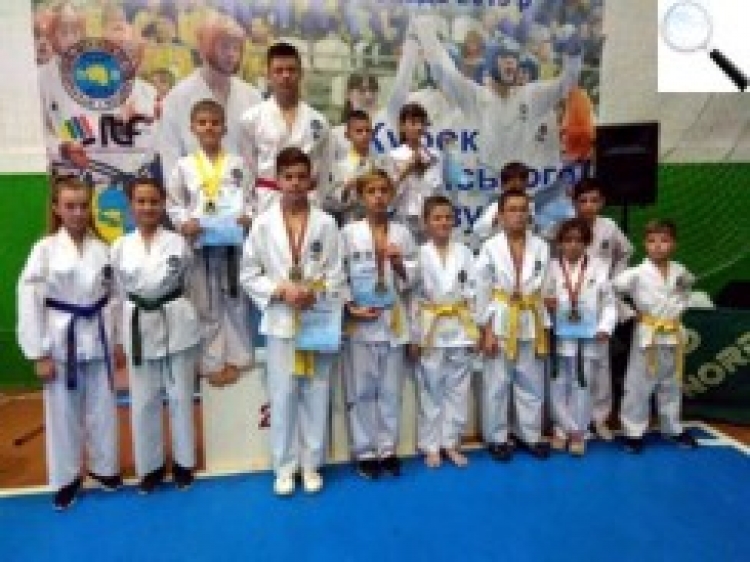 11 медалей на «Кубку Всеукраїнського Союзу таеквон-до» в Житомирі