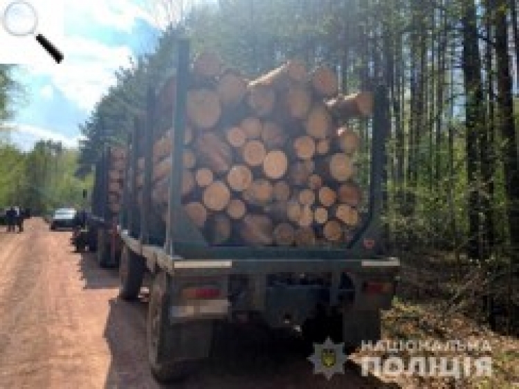 У результаті дій поліції в лісовій галузі зросли надходження до бюджету
