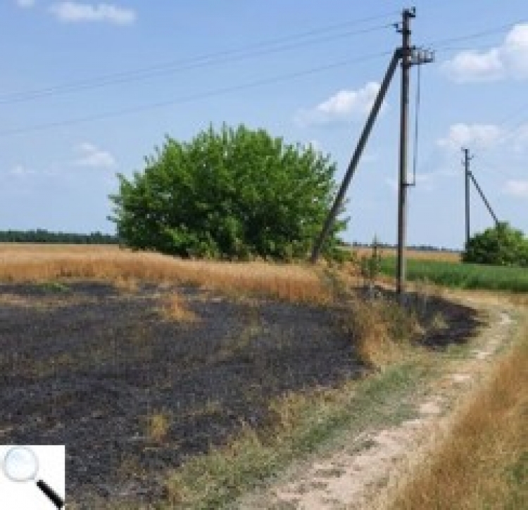 Унаслідок пожежі на полі ТОВ «Цефей-Еко» зазнало збитків на понад мільйон гривень