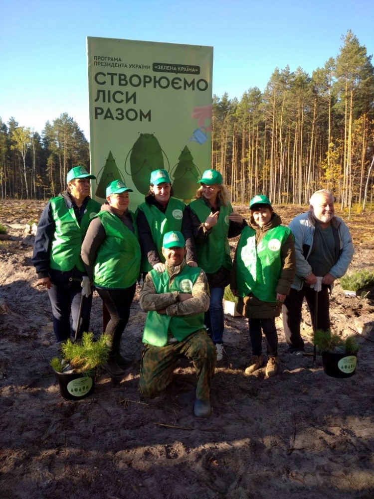 У Новоград-Волинському лісництві висадили 11,2 тисячі сіянців на площі 2,8 гектара