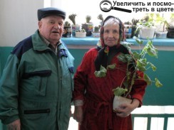 Успіхи ОСББ «Наш дім» надихнули Ніну Григорівну на створення квіткової оранжереї у під’їзді