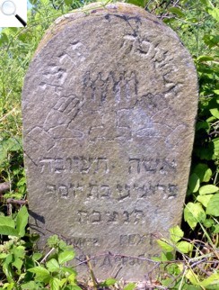 Надгробок Фрими Гехт, дочки Йосифа, яка померла в перший день свята Хануки 5693 р. (1932)