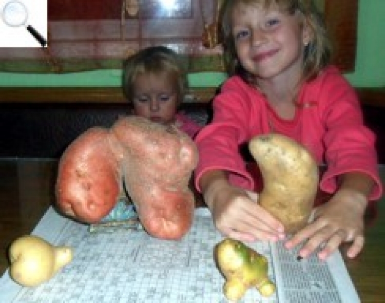 Фотоконкурс: «Приколи саду та городу»