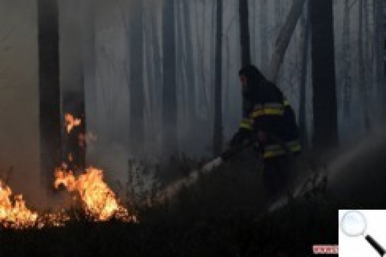 Орієнтовна сума збитків від пожеж на півночі Житомирської області — 25 мільйонів гривень
