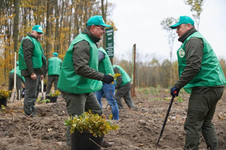 Арсеній Пушкаренко: «У межах ініціативи Президента на Житомирщині висадили майже 14 мільйонів дерев»