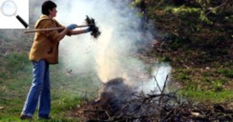 Спалювання листя та сміття на території громади категорично забороняється!