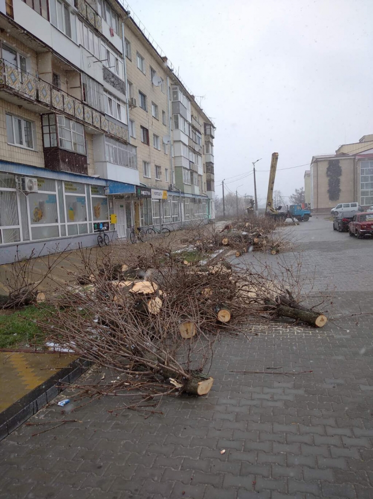На площі Лесі Українки зрізали каштани. Натомість висадять алею сакур