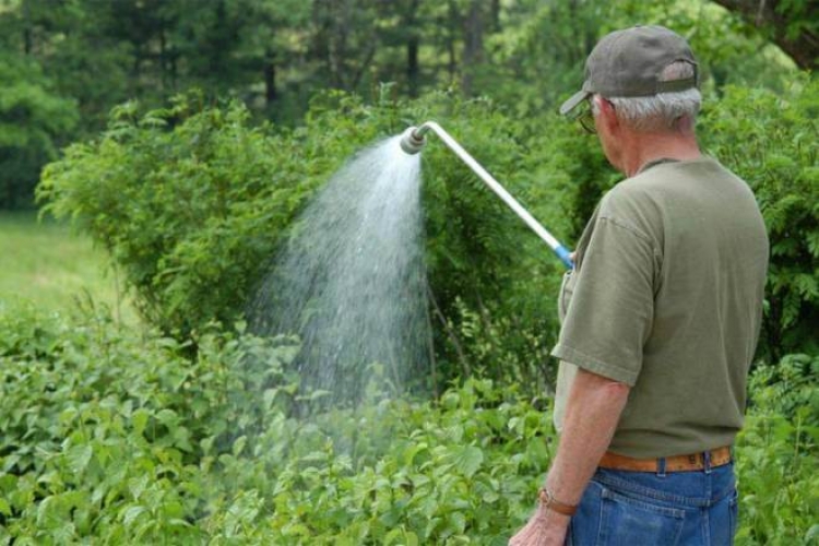 Без лічильника води полив городини може коштувати 1718 грн у місяць